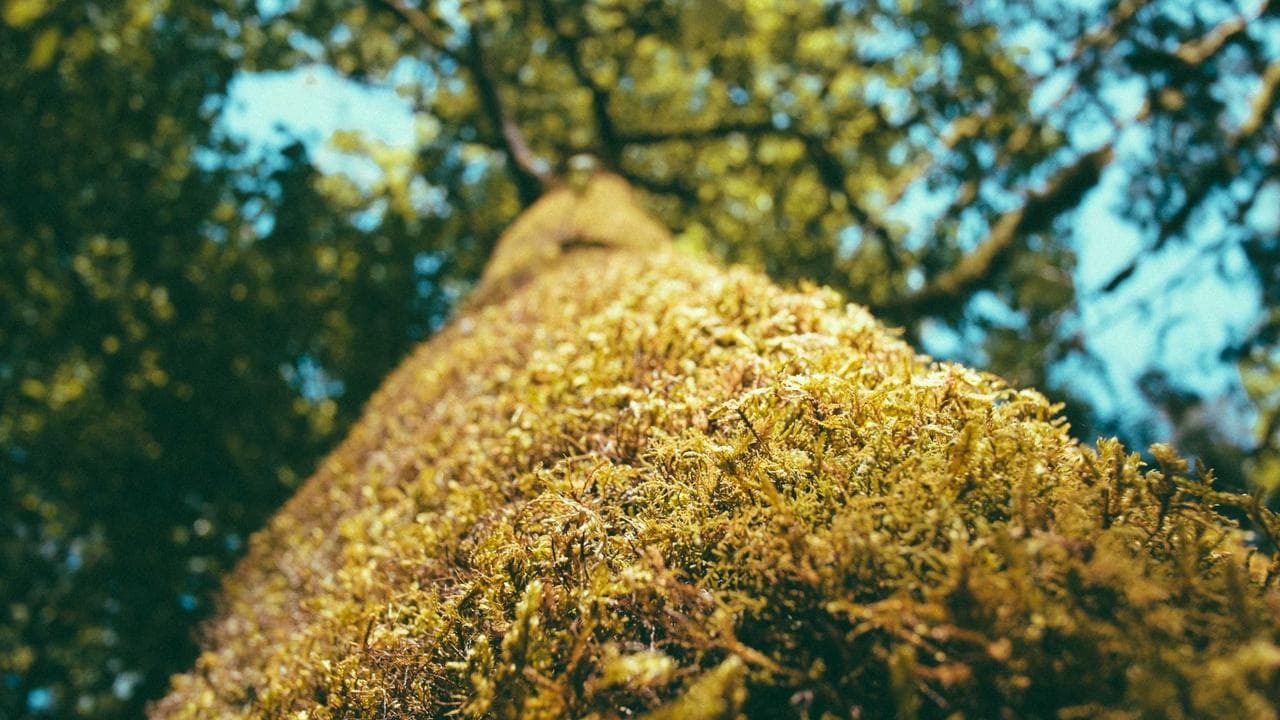 فارغین مدارس کے معاش کا مسئلہ اور حل
