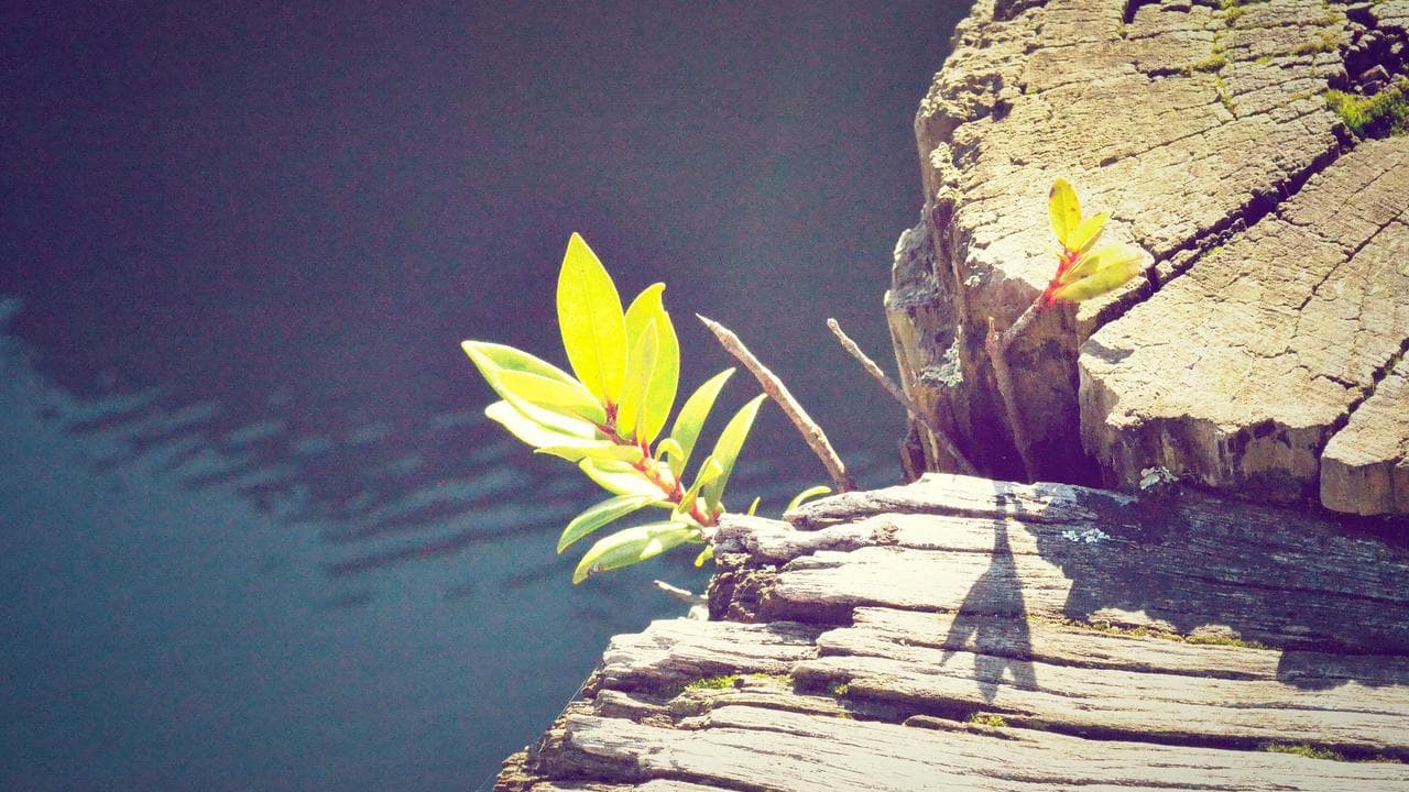 روزہ کا ایک سبق