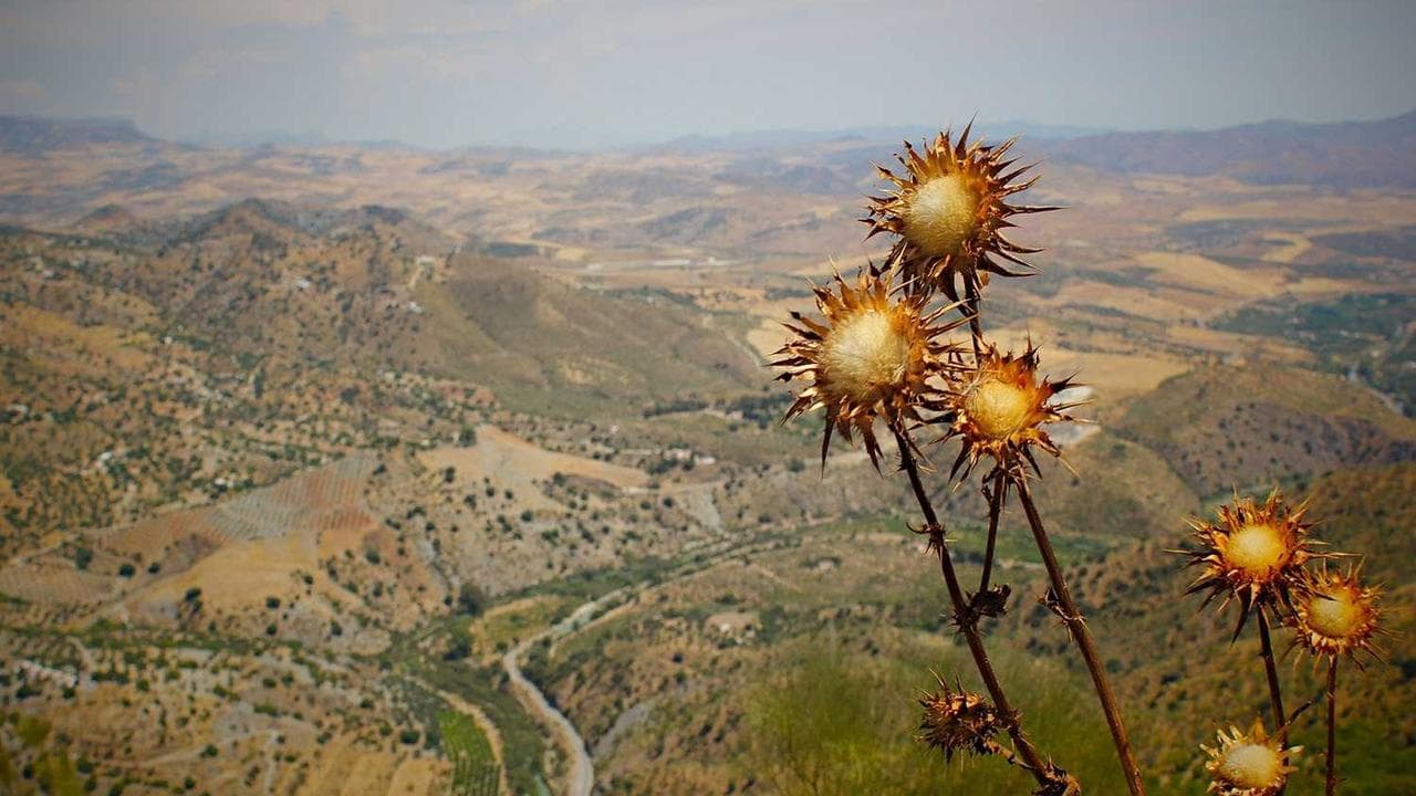 خبر و نظر